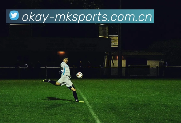 MK体育官方用户满意度大奖